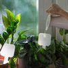 Irrigatore per piante - targhetta bianca con piedino in ceramica, 200 ml - 8 
