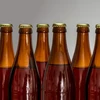 Kit per birra - polacca luppolata, 20 L - 10 