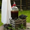 Kit per il Vino Easy – modo facile per il vino fatto in casa - 15 