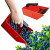 Macchina per la raccolta di piccoli frutti, denti in metallo - 6 