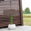 Pergola in metallo - Piramide, 135 cm - 4 