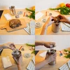 Pressa per prosciutto - Boccone Giusto 1,5 kg - 14 