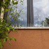 Punte contro gli uccelli - 40x9x8,5cm, 3 pezzi - 3 