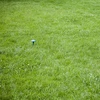 Repellente per talpe alimentato a energia solare - 10 
