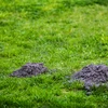 Repellente per talpe alimentato a energia solare - 11 