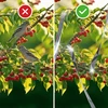 Repellente per uccelli - nastro riflettente, 80 m - 8 