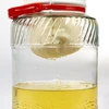 Sacco per filtrazione liquori - 3 