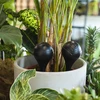 Sfera di irrigazione per piante, nera opaca con piedino in ceramica (in confezione) 400 ml - 10 