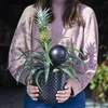 Sfera di irrigazione per piante, nera opaca con piedino in ceramica (in confezione) 400 ml - 12 
