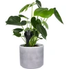Sfere di irrigazione per piante, nere opache, 400 ml, 4 pezzi - 6 