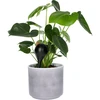 Sfere di irrigazione per piante, nere opache, con tappo, 400ml, 4 pezzi - 7 
