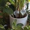 Sfere di irrigazione per piante, trasparenti, 400 ml, 2 pz. - 9 