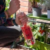 Spazzola per bottiglie 0,5 L - 4 