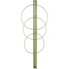 Supporto ad anelli per piante - 3 anelli - 0,5 m ['supporto per piante', ' supporto ad anelli per arbusti', ' supporto da giardino', ' supporto per rose', ' pergola da giardino', ' fascetta per piante', ' sostegno per piante', ' supporto per fiori', ' supporto per piante in vaso', ' supporto per ortensie', ' supporto per mirtilli', ' supporto per rampicanti', ' supporto verde', ' supporto per piante verde scuro', ' supporto per piante in acciaio con anelli']