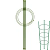 Supporto ad anelli per piante - 3 anelli - 0,5 m ['supporto per piante', ' supporto ad anelli per arbusti', ' supporto da giardino', ' supporto per rose', ' pergola da giardino', ' fascetta per piante', ' sostegno per piante', ' supporto per fiori', ' supporto per piante in vaso', ' supporto per ortensie', ' supporto per mirtilli', ' supporto per rampicanti', ' supporto verde', ' supporto per piante verde scuro', ' supporto per piante in acciaio con anelli']