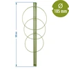 Supporto ad anello per piante 3 anelli 0,5m - 2 