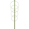 Supporto ad anello per piante 4 anelli 1m - 12 