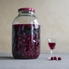 Tappo fi 100 bordeaux - 10 pezzi - 5 