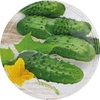Tappo fi100 cetrioli mix - 10 pezzi - 2 