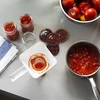 Tappo fi66 scozzese a quadretti mix, 10 pezzi. - 7 