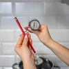 Termometro da cucina (0°C a +300°C) 17,5cm - 3 