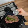 Termometro da cucina (0°C a +300°C) 17,5cm - 6 