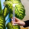 Termometro esterno con scala trasparente (-70°C a +50°C) 23cm mix - 3 
