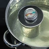 Termometro per pressa per prosciutto 0,8 kg (0°C a +120°C) 9,0cm - 8 