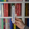 Termometro universale (-30 a +50°C), 17 cm, bianco - 3 