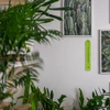 Termometro universale (-30 a +50°C), 17 cm, verde - 6 