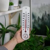 Termometro universale bianco con igrometro (-20°C a +50°C) 25cm - 3 