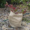 Tessuto di iuta 20 cm / 5 m - 6 