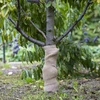 Tessuto di iuta 30 cm / 5 m - 5 