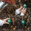 Tester del terreno 2 in 1 - pH, umidità - 9 