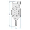 Tubo di fermentazione in plastica, a 6 camere - 3 