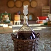 Tubo di fermentazione in plastica MAXI-v2 - 7 