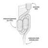 Tubo di fermentazione in plastica MAXI-v2 - 3 