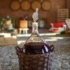 Tubo di fermentazione in plastica MINI-v2 - 6 