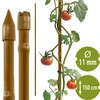 Tyczka stalowa powlekana o kształcie bambusa, 150 cm x 11mm - 7 tyczka ogrodowa, tyczka do roślin, podpora do roślin, podpora ogrodowa, podpory ogrodowe metalowe, podpora do roślin pnących, podpory do kwiatów pnących, metalowe podpory do kwiatów, tyczki metalowe powlekane, tyczka do roślin powlekana, tyczka stalowa o kształcie bambusa, akcesoria ogrodnicze, jak dbać o rośliny, polecane tyczki do roślin, tyczka zielona, tyczki stalowe a la bambus, tyczki bambus, tyczki w formie bambusa, podpora w kształcie bambusa