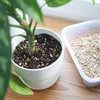 Vermiculite per piante in vaso e giardinaggio, 2 L - 8 
