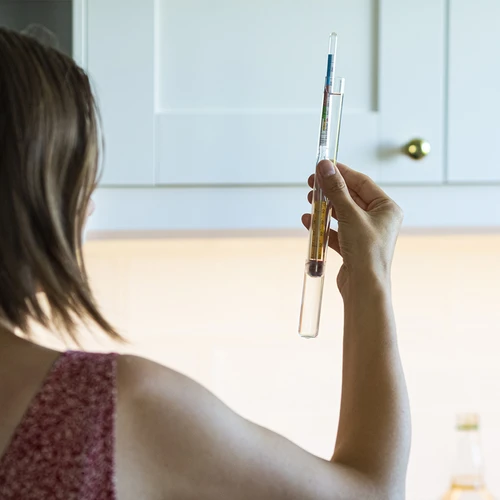 Alcolometro con termometro - 4