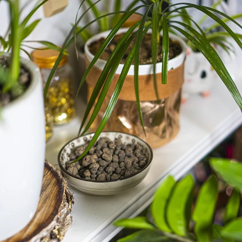 Argilla espansa per piante in vaso, giardinaggio e terrari in vetro 10–20 mm, 4 L - 12