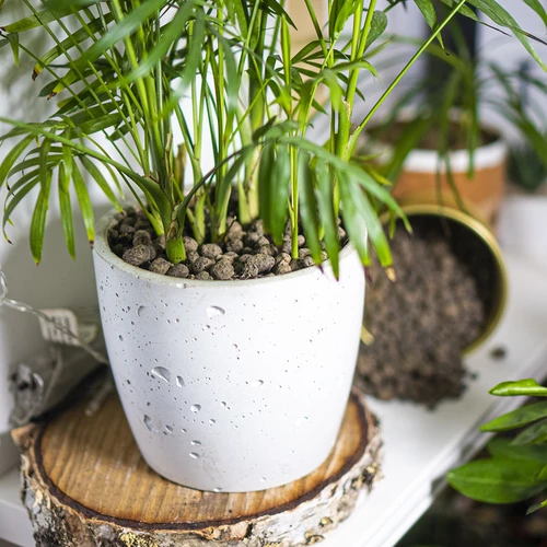 Argilla espansa per piante in vaso, giardinaggio e terrari in vetro, 4–10 mm, 2 L - 9