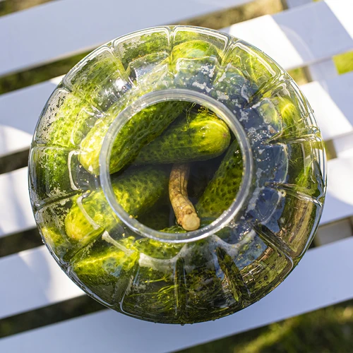 Barattolo da 5 L per fermentazione, infrangibile e multifunzione - 5