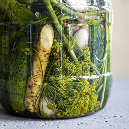 Barattolo infrangibile per fermentazione, 3 L - 8