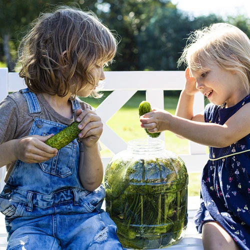 Barattolo infrangibile per la fermentazione, 3 L - 7