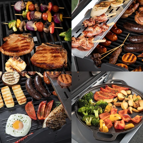 Barbecue a gas dragON BBQ101, 11,7 kW, nero e argento - 11