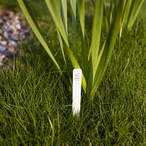 Cartellini segnapiante + matita (mix 10+20 pz.) - 7