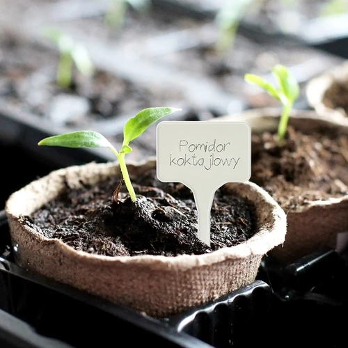 Cartellini segnapiante + matita (mix 10+20 pz.) - 11