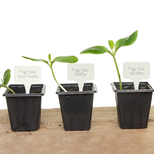 Cartellini segnapiante + matita (mix 10+20 pz.) - 12